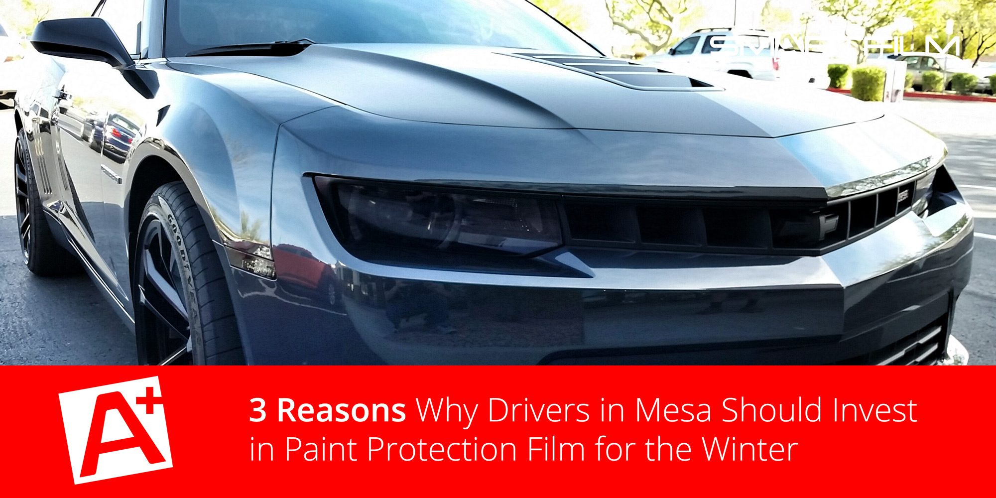 Paint Protection Film in Mesa