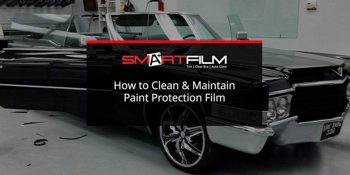 paint protection film car paint protection films paint protection film vehicle
