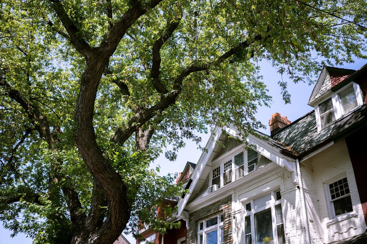 A suburban house with a tree casting shadows on its classic facade, showcasing a peaceful neighborhood.